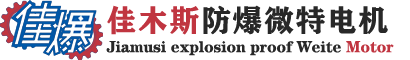 佳木斯防爆微特电机有限公司