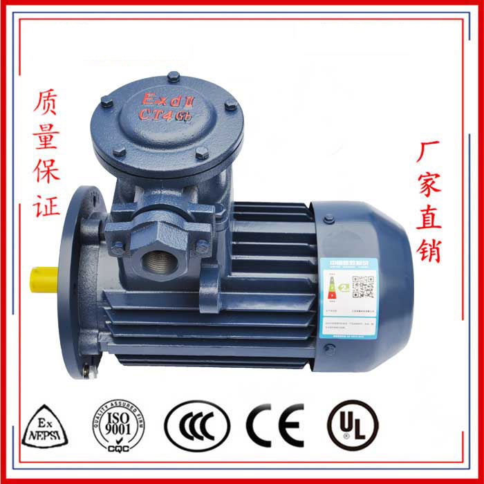 CT4 高效率隔爆型三相异步电动机