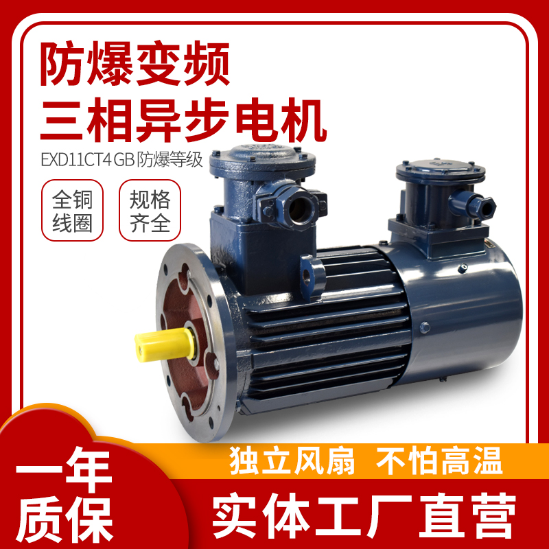 YBBP-CT4防爆变频电机