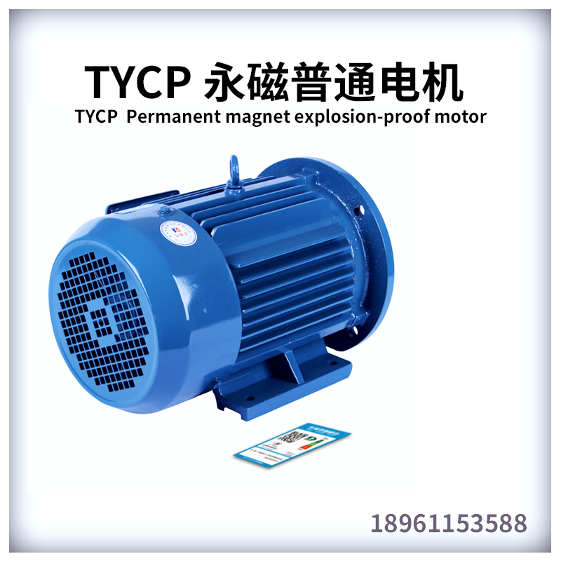 TYCP永磁同步电机（90-355机座号）